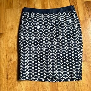 Skirt - Blue and White Skirt - Limited Size 8